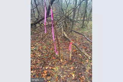 1750 Joe Harris Road, Prince Frederick, MD 20678 - Photo 2