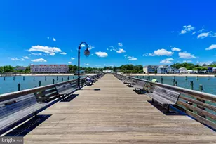 9346 Sea Oat Ct, North Beach, MD 20714 - Photo 44