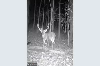 635 Tobacco Ridge Road, Prince Frederick, MD 20678 - Photo 4