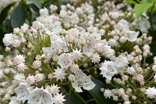 4030 Fridays Ln, Owings, MD 20736 - Photo 38