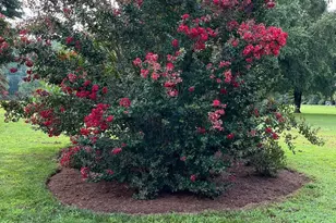 4030 Fridays Ln, Owings, MD 20736 - Photo 14