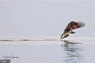 7517 B St, Chesapeake Beach, MD 20732 - Photo 1