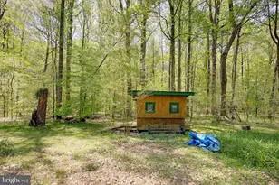 2050 McCracken Dr, Dunkirk, MD 20754 - Photo 8