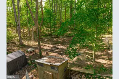 5030 Sunnyhills Drive, Sunderland, MD 20689 - Photo 42