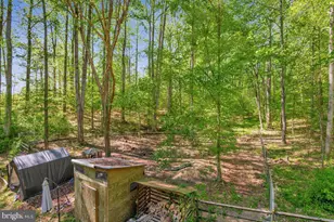 5030 Sunnyhills Dr, Sunderland, MD 20689 - Photo 42