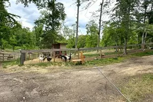 1320 Lottie Fowler Rd, Prince Frederick, MD 20678 - Photo 28