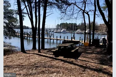 732 Runabout Loop #732, Solomons, MD 20688 - Photo 38