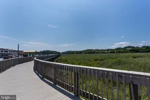 8501 Bayside Rd, Chesapeake Beach, MD 20732 - Photo 10