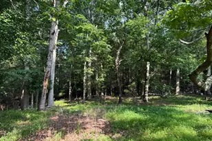12516 Olivet Rd, Lusby, MD 20657 - Photo 32