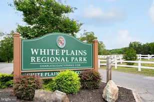 11732 Ian Fleming Ln, White Plains, MD 20695 - Photo 40