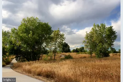 6826 Matthews Road, Bryans Road, MD 20616 - Photo 30