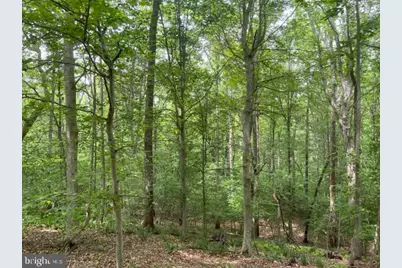 7575 Mason Springs Road, La Plata, MD 20646 - Photo 8