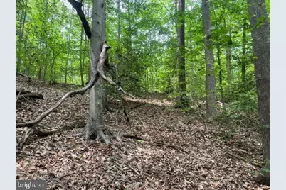 7575 Mason Springs Road, La Plata, MD 20646 - Photo 4