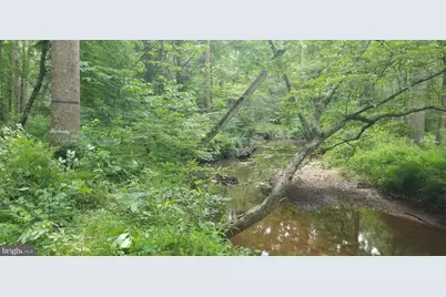 10226 Springhill Newtown Road, La Plata, MD 20646 - Photo 34