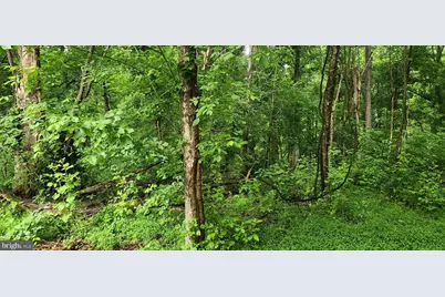 Robie / Bensville Road, White Plains, MD 20695 - Photo 12