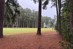 14975 Persimmon Ct, Issue, MD 20645 - Photo 1