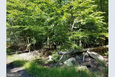 7285 Billingsley Road, Bryans Road, MD 20616 - Photo 4