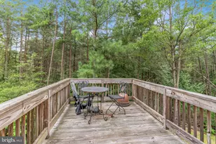 11550 Maryland Point Rd, Nanjemoy, MD 20662 - Photo 8