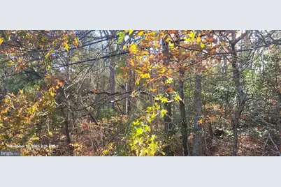 Rock Point, Newburg, MD 20664 - Photo 4