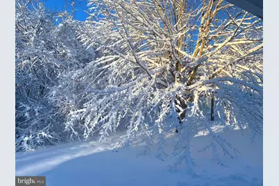 19 Walnut Hill Road, La Plata, MD 20646 - Photo 58