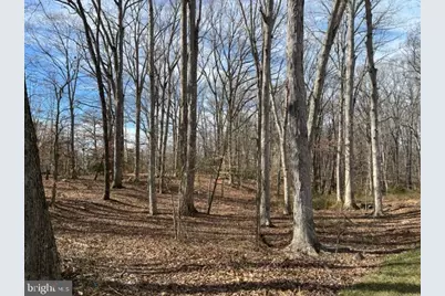 Farragut Drive, Bryans Road, MD 20616 - Photo 4