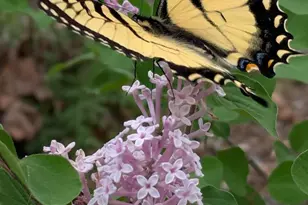 2805 Stavors Rd, Waldorf, MD 20603 - Photo 40