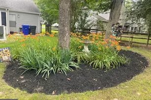 3540 Seagrape Ct, Waldorf, MD 20602 - Photo 34