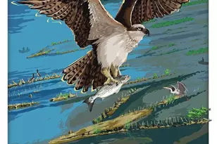 8965 Riverside Rd, Nanjemoy, MD 20662 - Photo 2