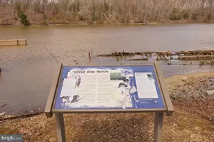 8965 Riverside Rd, Nanjemoy, MD 20662 - Photo 34