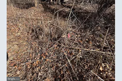 5500 Winston Vines Place, Indian Head, MD 20640 - Photo 24