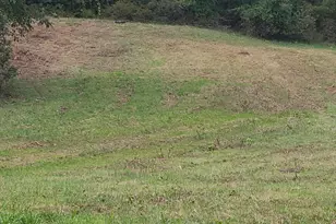 Shiloh Church Rd, Newburg, MD 20664 - Photo 1