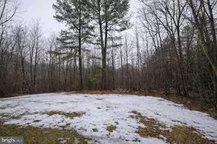 4170 Old Washington Rd, Waldorf, MD 20602 - Photo 16