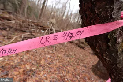 Lots 2-6 and 11-16 Penguin Place, Bryans Road, MD 20616 - Photo 18