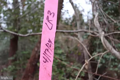 Lots 2-6 and 11-16 Penguin Place, Bryans Road, MD 20616 - Photo 6