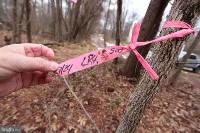 Lots 2-6 and 11-16 Penguin Place, Bryans Road, MD 20616 - Photo 16