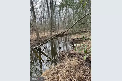 9680 Adams Willett Road, Nanjemoy, MD 20662 - Photo 10