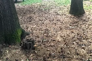 57 Riverside Run Dr, Indian Head, MD 20640 - Photo 24