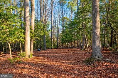 0 Oak Avenue, La Plata, MD 20646 - Photo 16