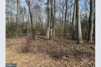 Lot 8A Park Ave, White Plains, MD 20695 - Photo 2