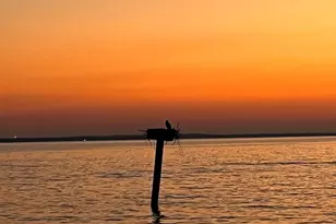 15445 Potomac River Dr, Cobb Island, MD 20625 - Photo 110