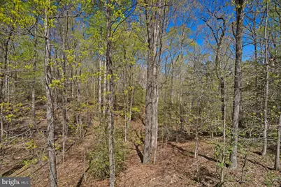 15410 Sorrel Ridge Lane, Waldorf, MD 20601 - Photo 38