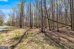 Lot 13 Billingsley Rd, White Plains, MD 20695 - Photo 1