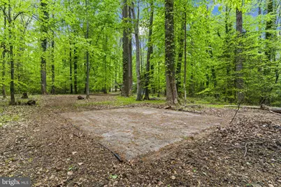 16055 Woodlark Drive, Brandywine, MD 20613 - Photo 46