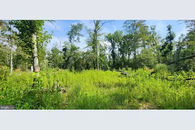 Hawthorne, La Plata, MD 20646 - Photo 22