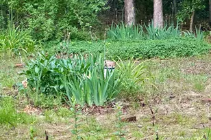 11495 A Maryland Point Rd, Nanjemoy, MD 20662 - Photo 12