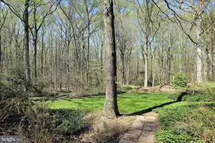 4255 Shelton Dr, Pomfret, MD 20675 - Photo 76