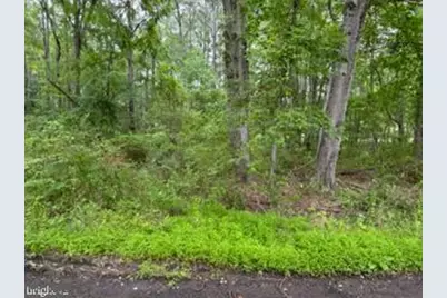 0 Swann Point Road, Newburg, MD 20664 - Photo 10