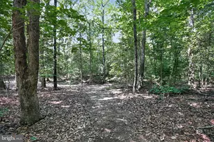 11645 Mt Victoria Rd, Newburg, MD 20664 - Photo 40