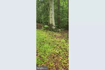 Poorhouse Road, Port Tobacco, MD 20677 - Photo 2