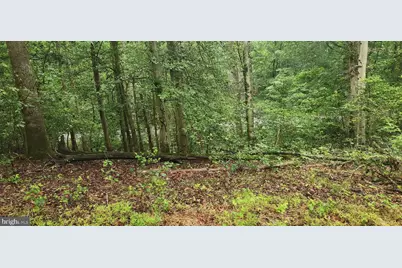 Poorhouse Road, Port Tobacco, MD 20677 - Photo 4